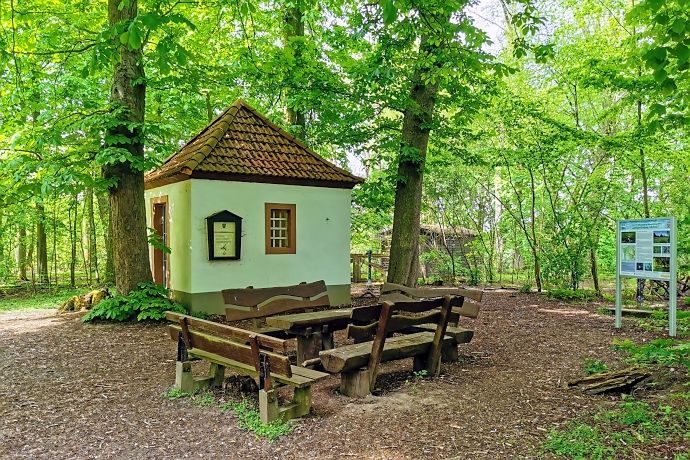 Picknicken im Naturschutzgebiet Biedensand in Lampertheim Picknicken im Naturschutzgebiet Biedensand in Lampertheim