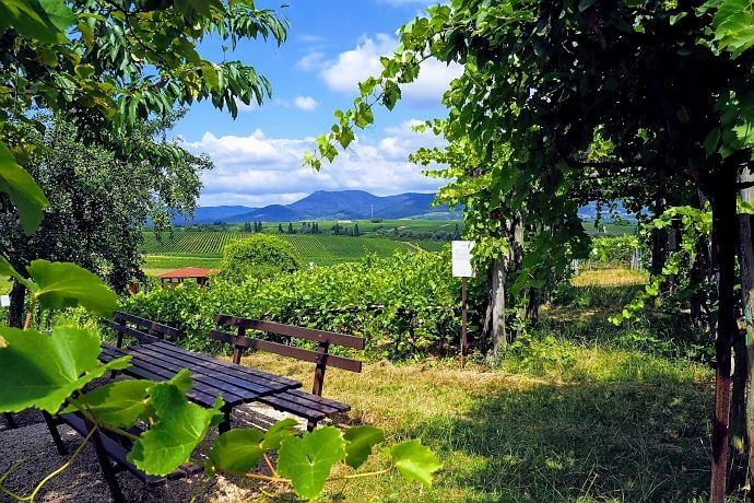 [title] - <strong>Unsere persönlichen Tipps für Genuss, Wandern und Erholung erwarten euch hier </strong> 👉 