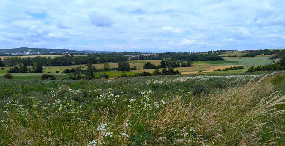 Blick vom Salzweg Bad Nauheim in die sanfte Hügellandschaft der Wetterau