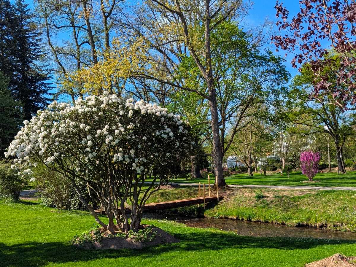Moderner Alea Park in Bad Orb mit Barfußpfad, Minigolf und Kneippanlage