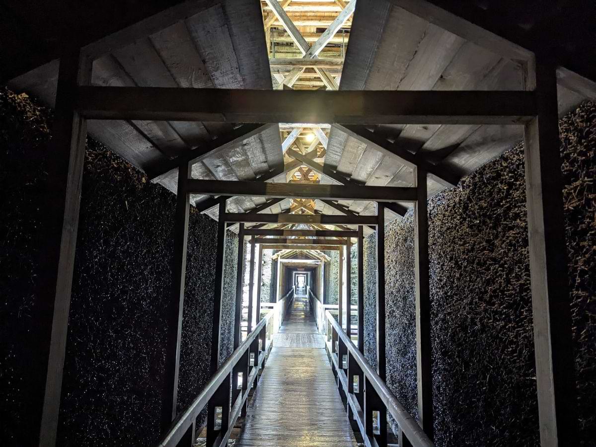 Innenansicht der Saline Bad Orb mit Schwarzdornreisig und salzhaltigem Wassernebel