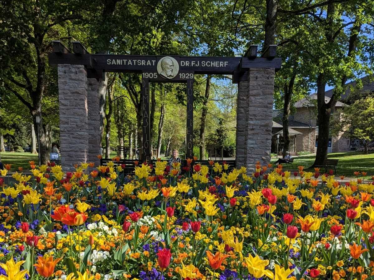 Tulpen im Kurpark Bad Orb vor einem Denkmal