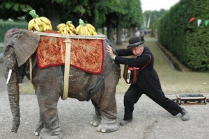 [title] - Jährlich im Sommer findet das Darmstädter Straßentheaterfestival Just for Fun statt. Quer durch die Innenstadt zeigen internationale Künstler und Artisten auf verschiedenen Freilicht-Bühnen ihre Künste und das bei freiem Eintritt.
