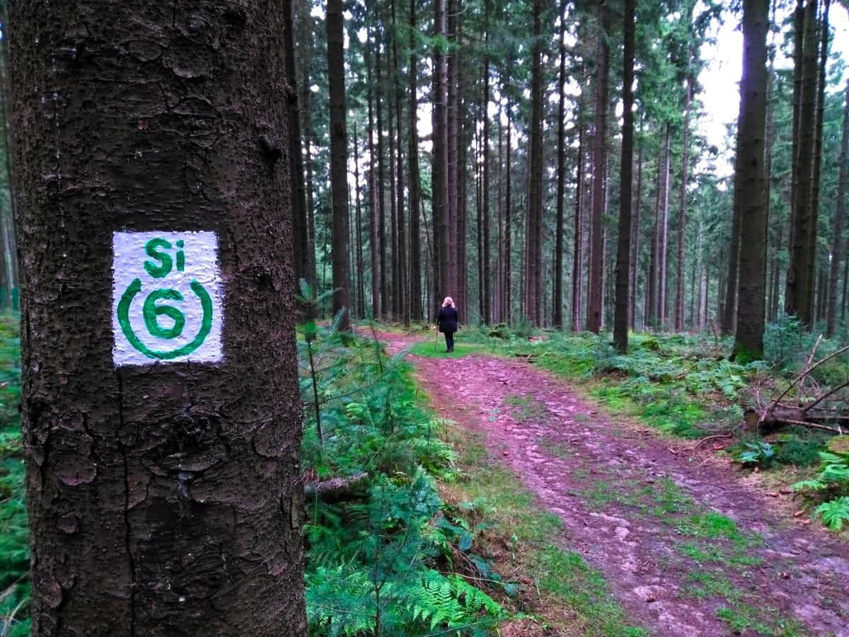 Auf dem S6 durch den Odenwald bei Siedelsbrunn