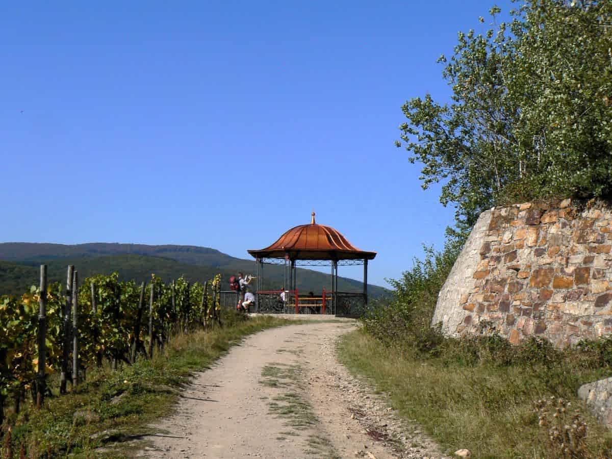 Wanderweg durch die Weinberge mit Blick auf einen kupfergedeckten Rundpavillon, die Rotweinlaube, an einem sonnigen Tag.