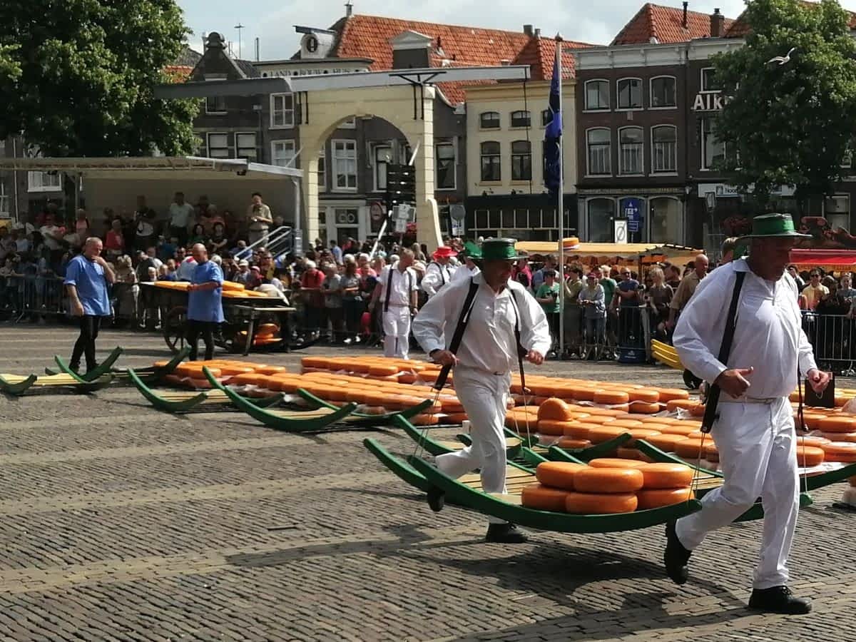 Traditionelle Käseträger in weißer Kleidung und grünen Hüten transportieren Käselaibe auf einer hölzernen Trage über den Marktplatz von Alkmaar.