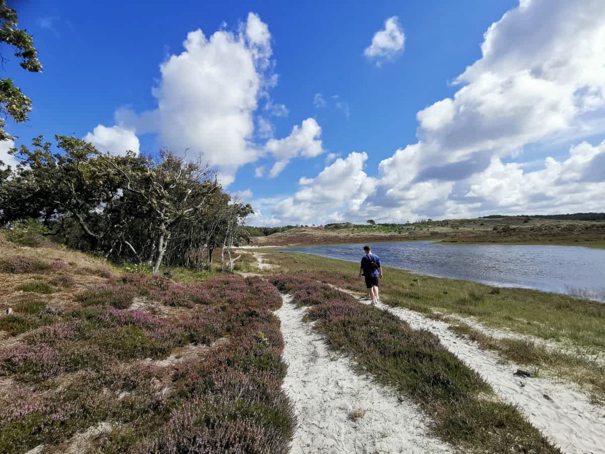 Wanderpfad entlang des Dünensees