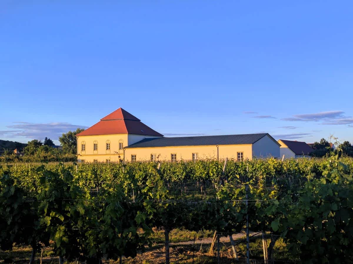 weingut inmitten von weinbergen in der wachau an der donau in niederoesterreich